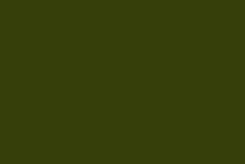 Color Olive Drab 2-437-02